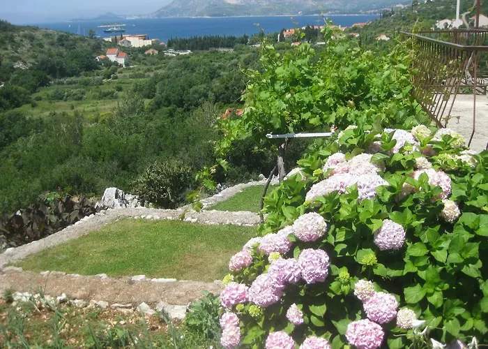 Appartement Joseph *